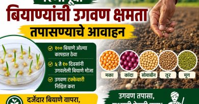 पेरणीपूर्वी बियाण्यांची उगवण क्षमता तपासण्याचे तालुका कृषी अधिकाऱ्याचे आवाहन