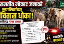 बारामतीत मोकाट जनावरे सोडणाऱ्या मालकाविरुद्ध बा.न.प तर्फे गुन्हा दाखल