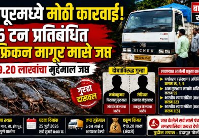 इंदापूरमध्ये ६ टन प्रतिबंधित आफ्रिकन मागूर मासे जप्त; ₹१९.२० लाखांचा मुद्देमाल, दोघांविरुद्ध गुन्हा इंदापूरमध्ये ६ टन प्रतिबंधित आफ्रिकन मागूर मासे जप्त; ₹१९.२० लाखांचा मुद्देमाल, दोघांविरुद्ध गुन्हा