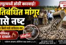 इंदापूरमध्ये ३२०० किलो प्रतिबंधित मांगूर मासे नष्ट; आरोपीविरुद्ध गुन्हा दाखल