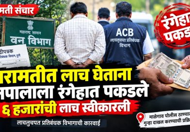 बारामतीत लाच घेताना वनपालाला रंगेहात पकडले; ६ हजारांची लाच स्वीकारली